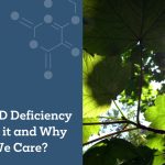 Vitamin D what is it and why should we care? Vitamin D Deficiency